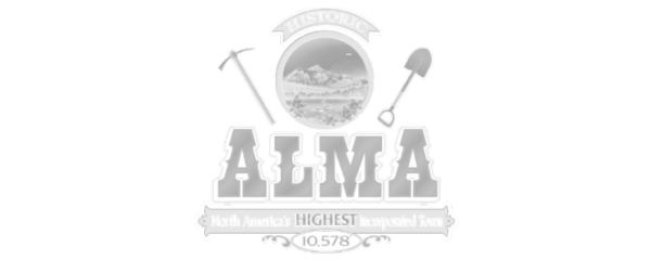 white logo of Alma